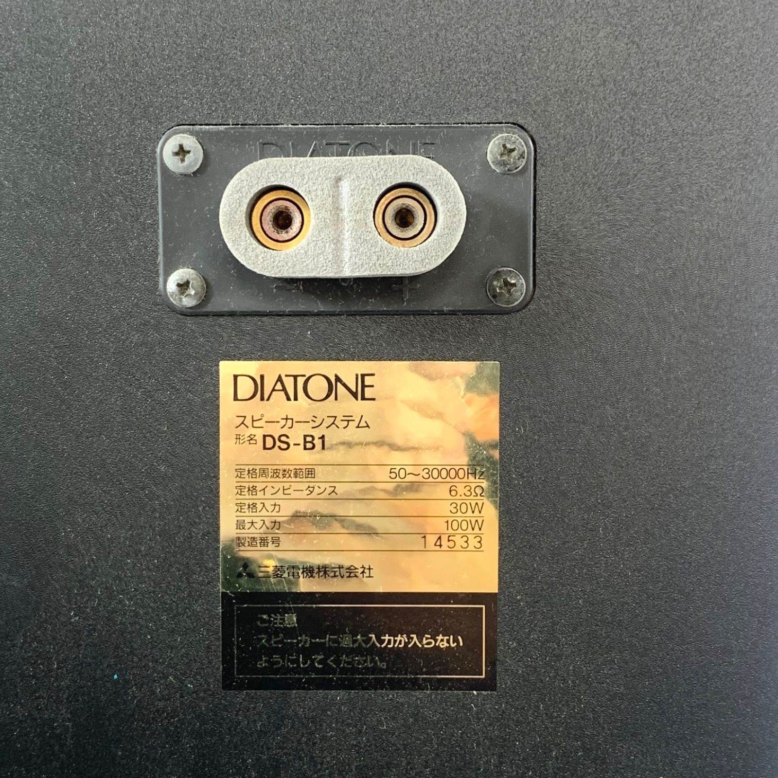 DIATONE DS-B1 スピーカー ダイヤトーン工房50周年記念モデル