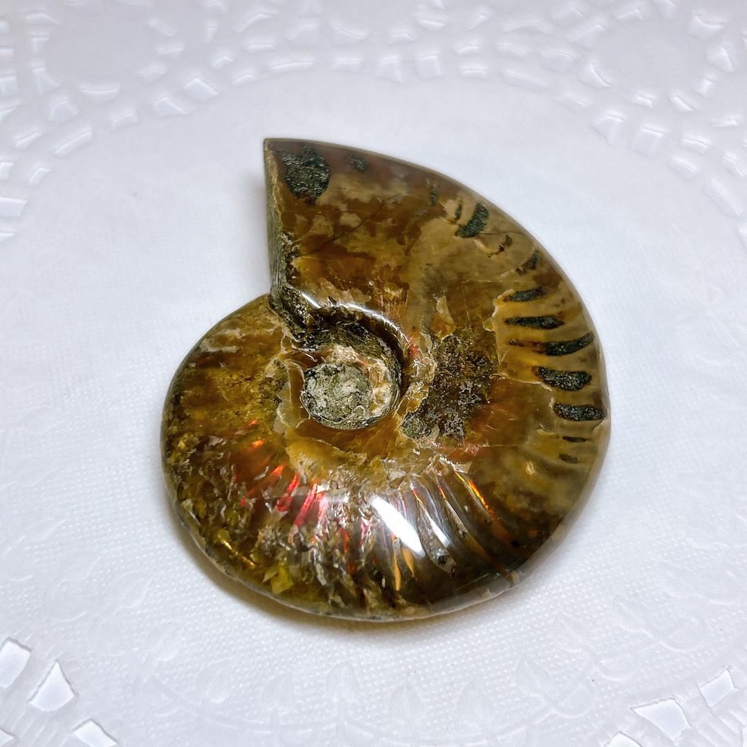 Harryさん専用 コロヘアンディーノ使用ボード メイヘム