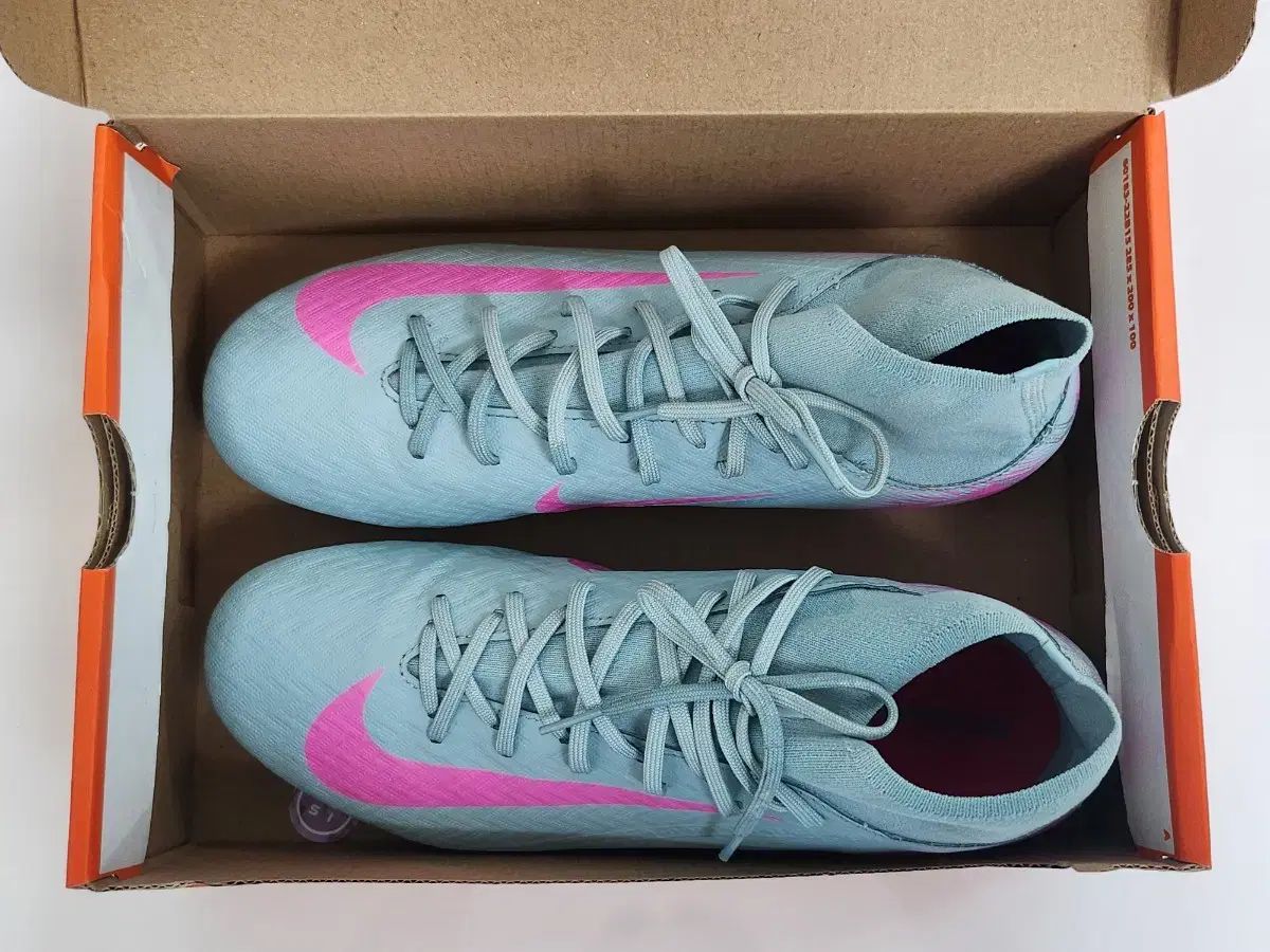 アカデミー FG|MG