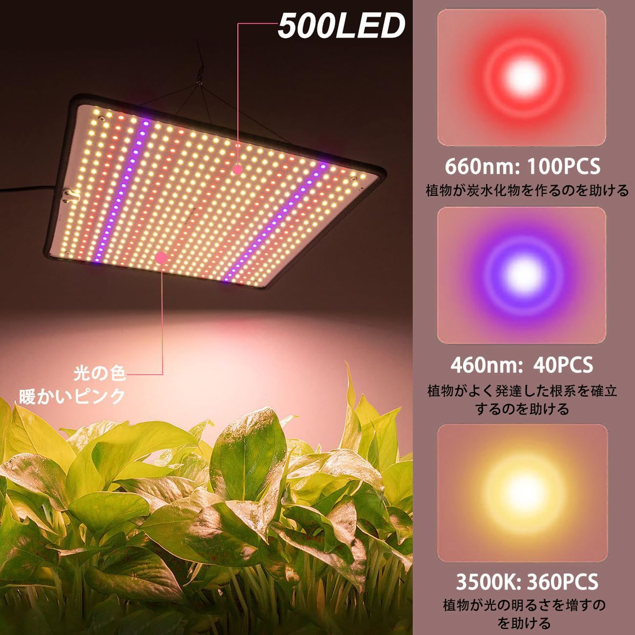 新着商品】吊り下げアクセサリー付き 植物栽培ライト 植物用ledライト パネル LED LED 育成用 多肉植物 水耕栽培 育成ライト 観葉植物  室内栽培 フルスペクトル 500LEDs 超薄型 植物ライト36W 植物育成ライト GREENSINDOOR - メルカリ