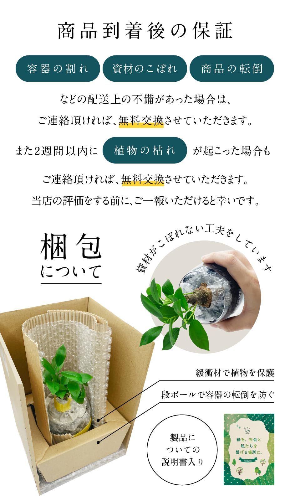 本物