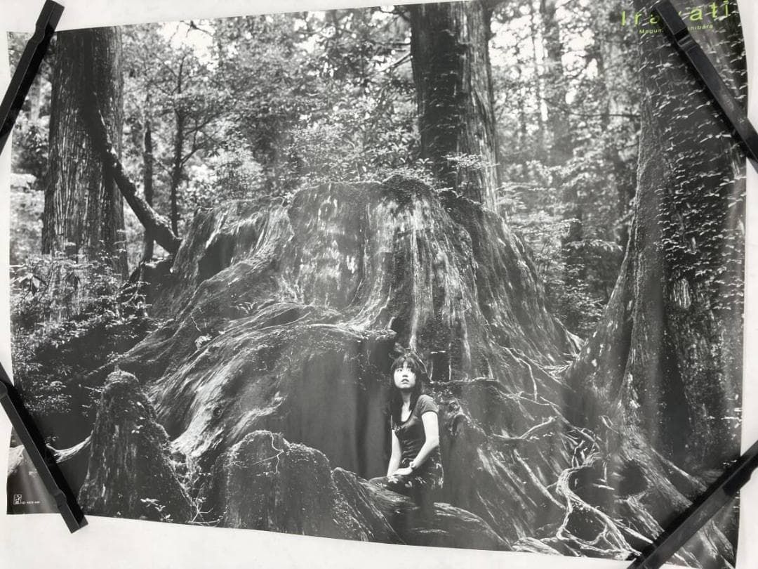 大量まとめ】声優 グッズ 約3.1kg ポスター 他 水樹奈々 小倉唯 等