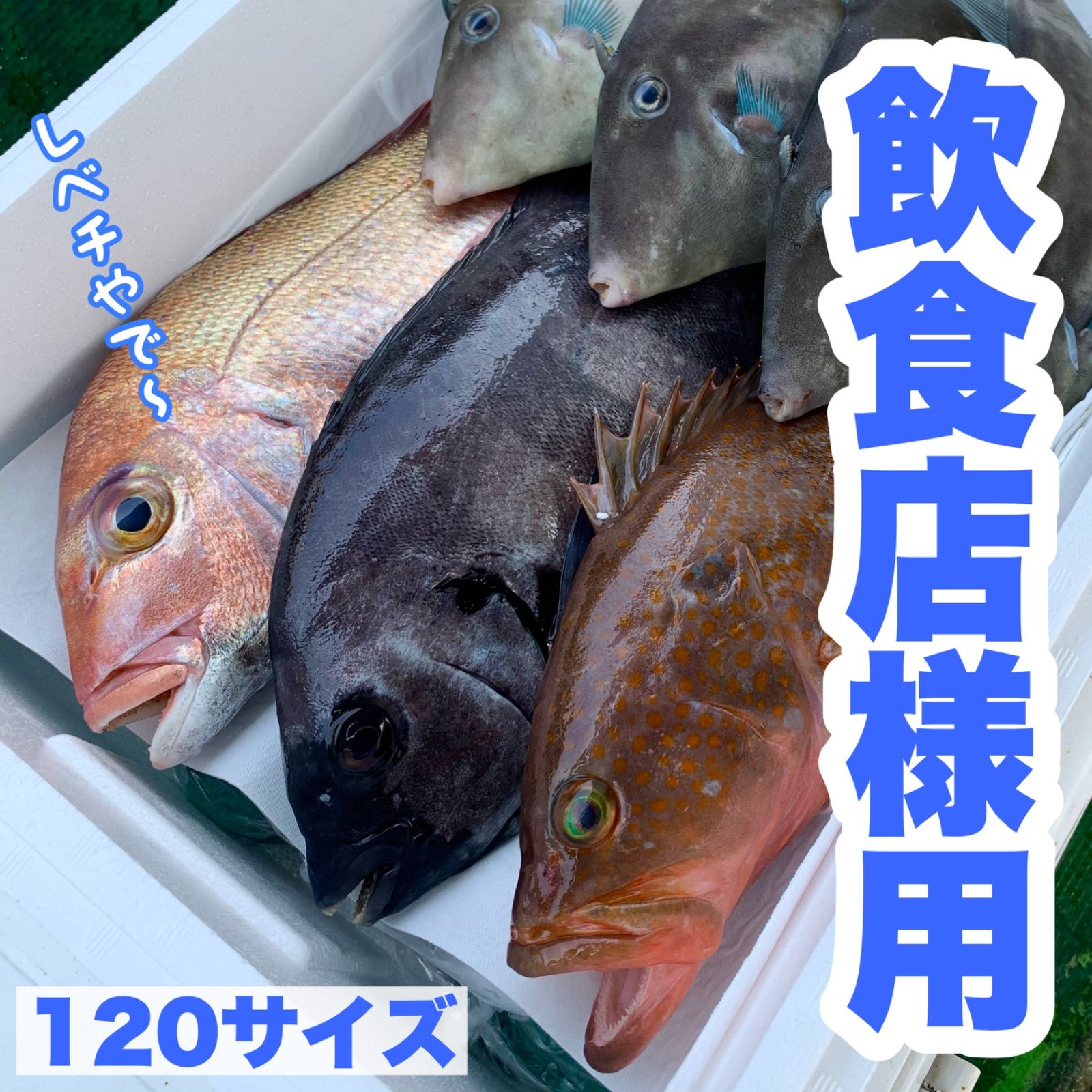 【✨️特上極み (大)✨️】店舗様用 大容量 瀬戸内 今治 鮮魚詰め合わせ