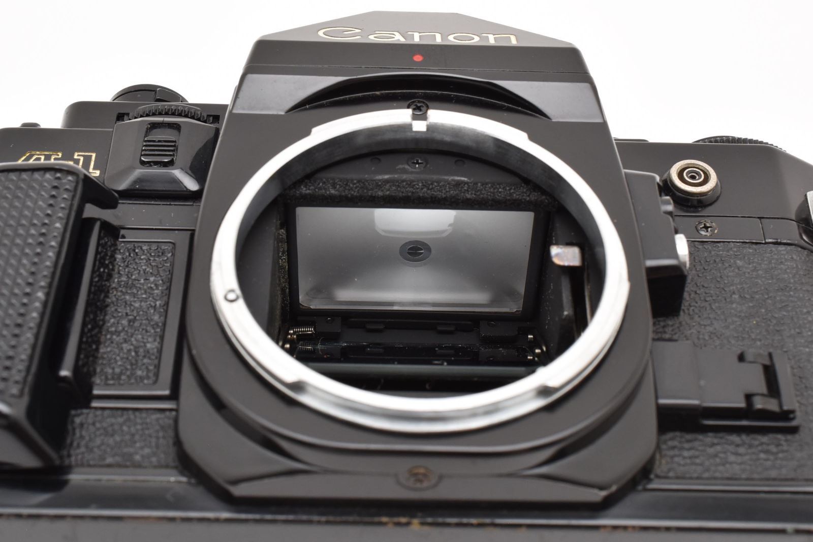 フィルム一眼 2534140