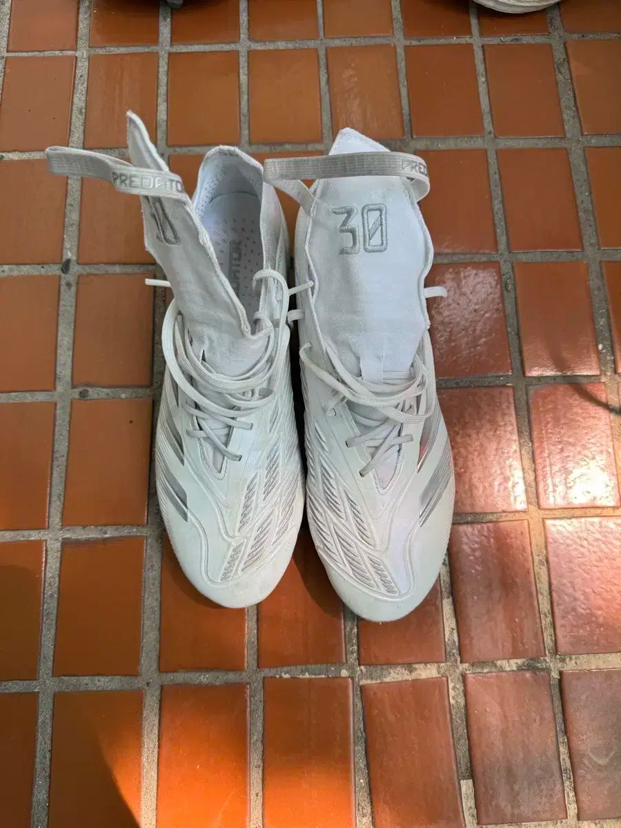 プレデター 24 エリート fg 270