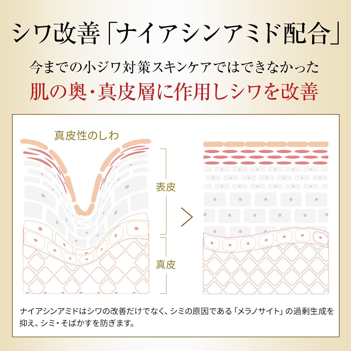 アカランプラス メディカルリンクルジェルクリーム 100g シワ改善有効成分 ナイアシンアミド エイジングケア成分 美白成分 オールインワン シワ 乾燥 美白 無添加【医薬部外品】 