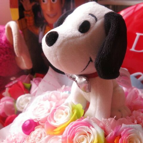 スヌーピー入り 花