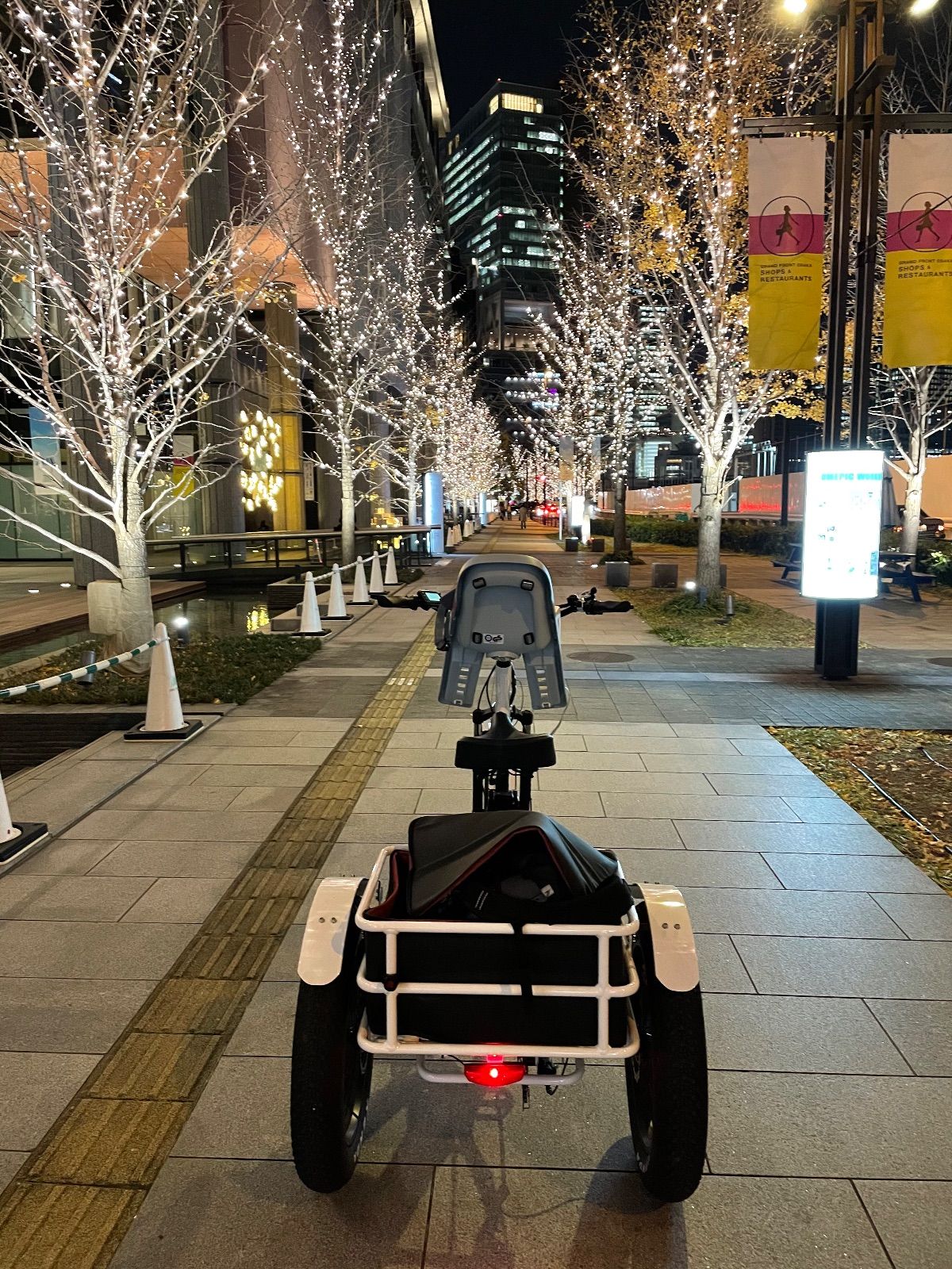公道走行可能【メーカー直販】電動三輪自転車「アオイトライク