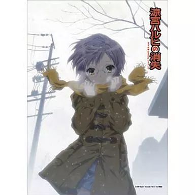 涼宮ハルヒの憂鬱　タペストリー　未開封 中古】タペストリー 涼宮ハルヒの消失 B2タペストリー 長門有希 - メルカリ