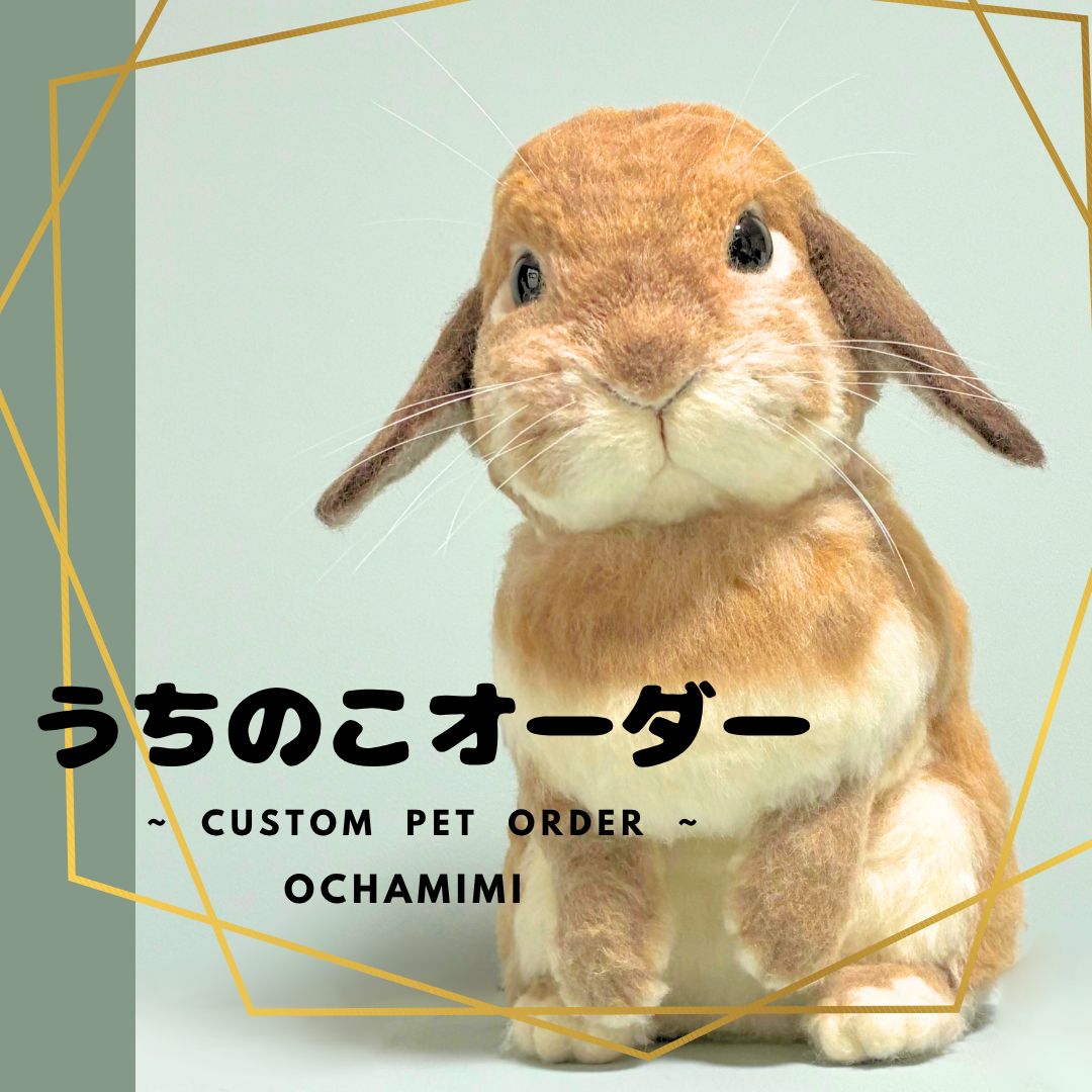 うちのこオーダー うさぎ ウサギ 兎 リアル 羊毛フェルト ペットロス メモリアル ハンドメイド うちの子 オーダーメイド オーダー