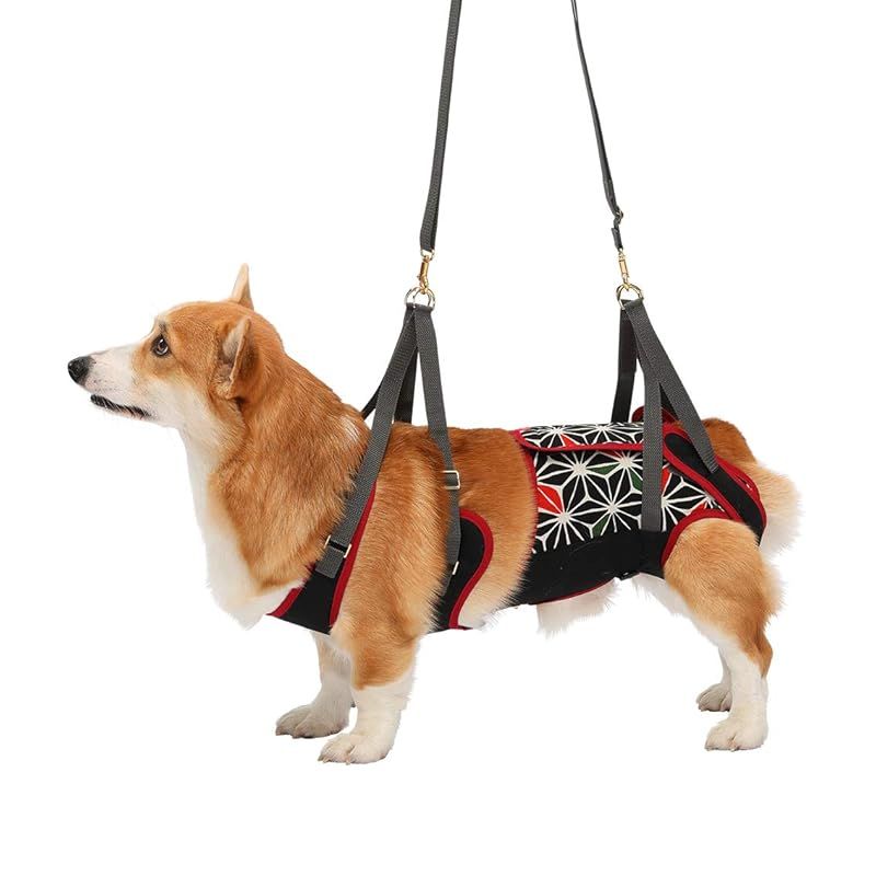 With ウィズ 歩行補助ハーネス LaLaWalk 中型犬 コーギー用 Kabuki 犬 Mサイズ x 1 0
