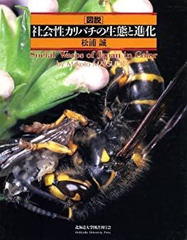 HOT，爆買い 【中古】 図説社会性カリバチの生態と進化 その他