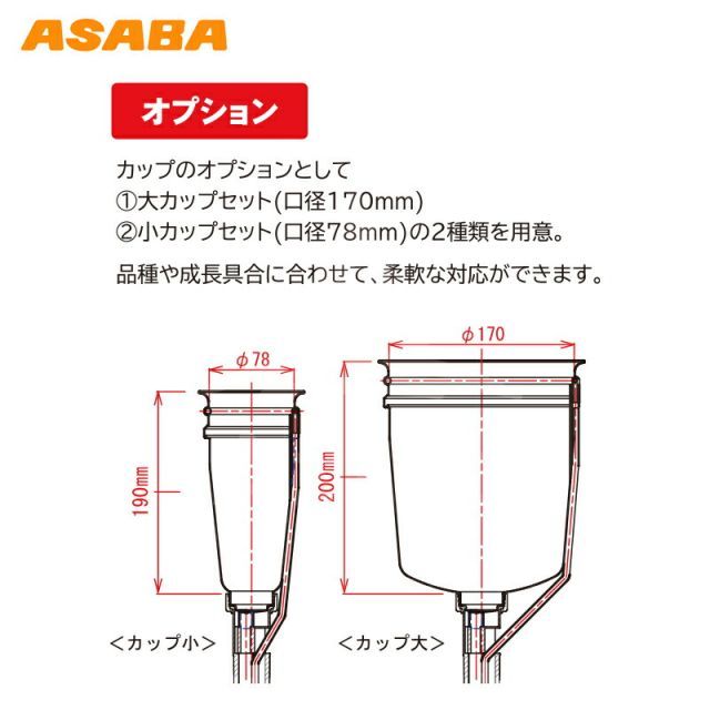 スター葵