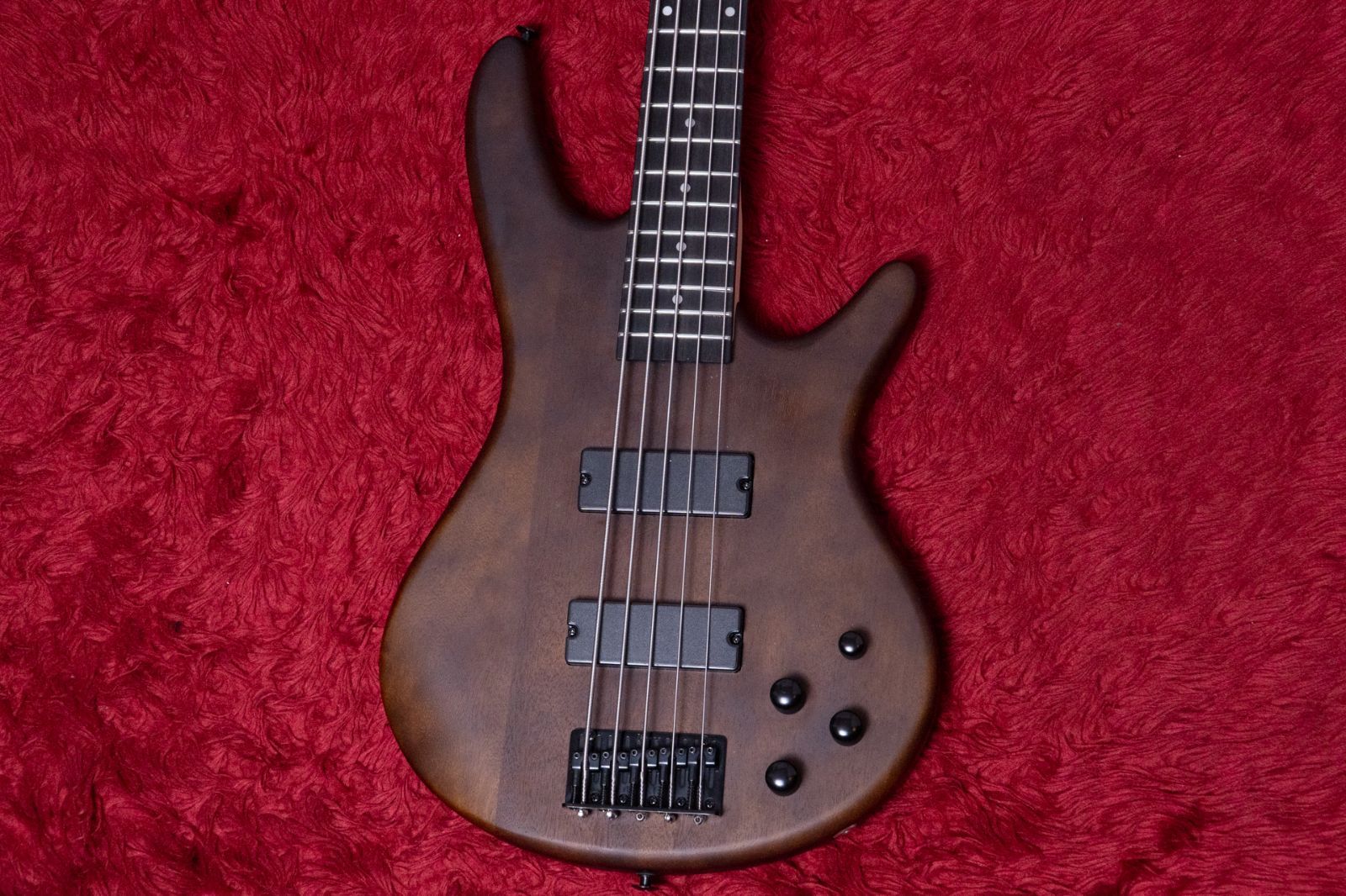 Ibanez |