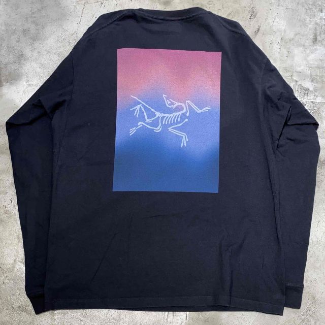 ARC’TERYX Kragg Cotton Heatmap LS Mサイズ Arc'teryx Men's Kragg Cotton Heatmap Shirt LS