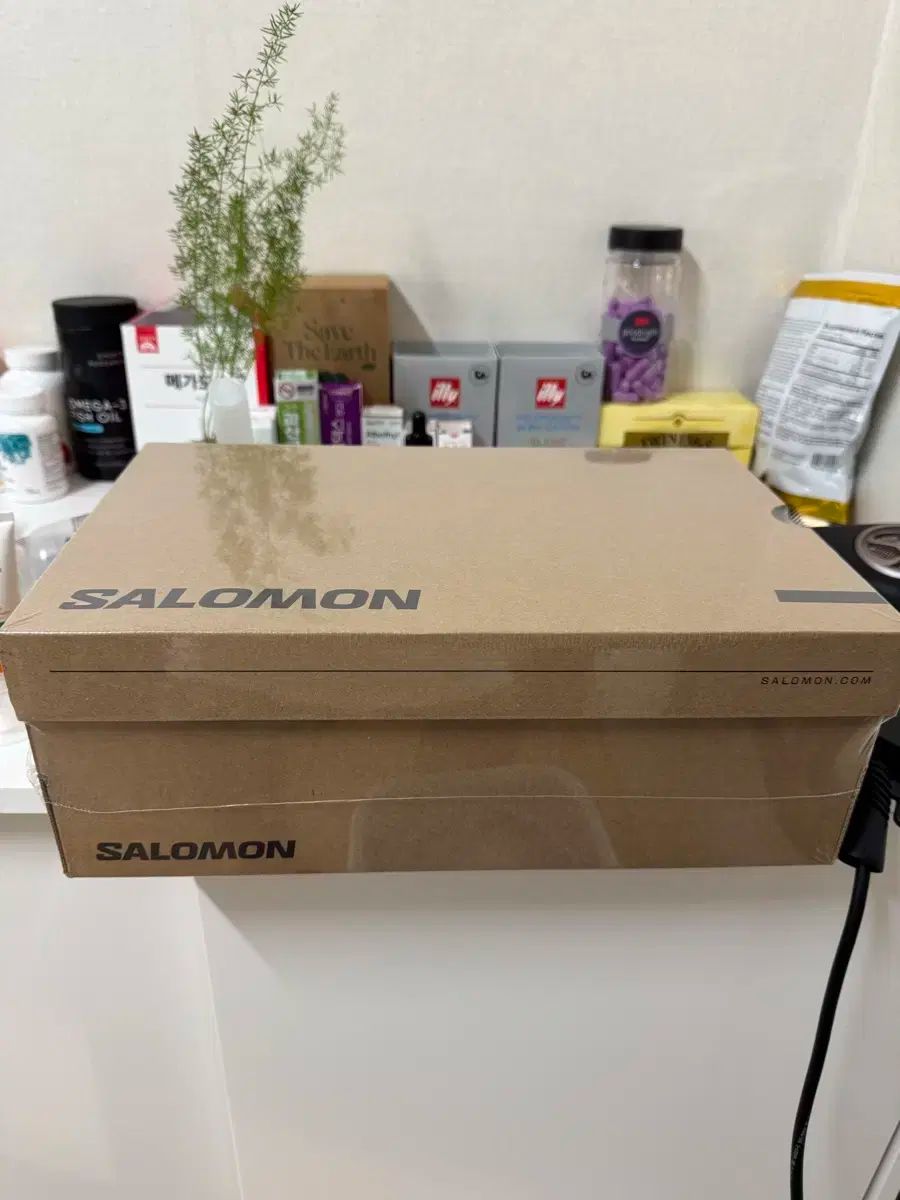 サロモン XT