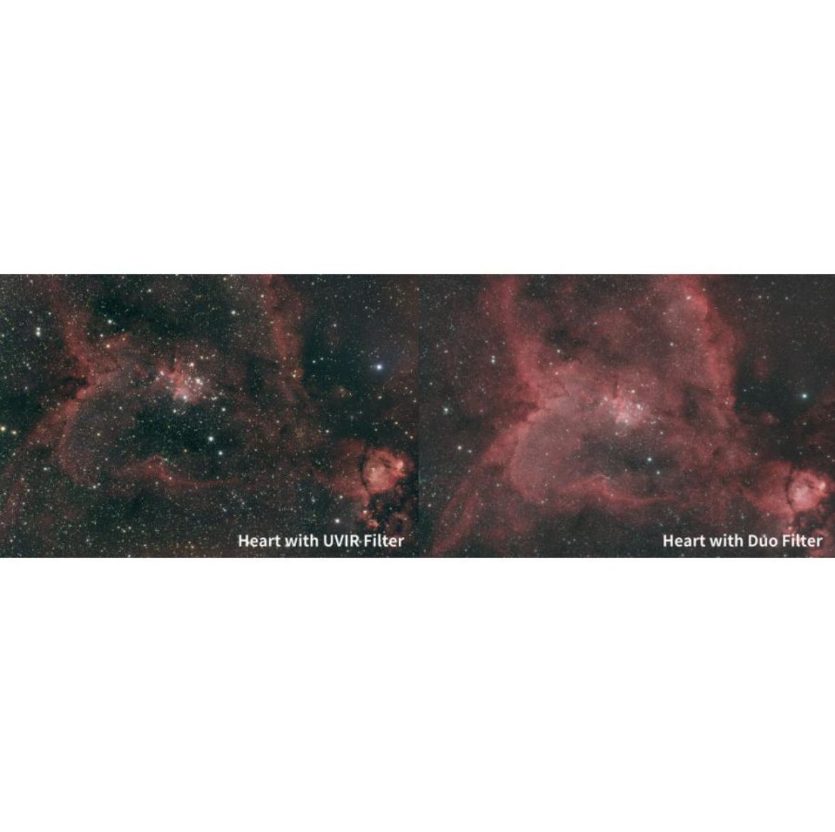  ３年保証 初期不良６０日対応 3 700円割引 定価13 500円 発送 ZWO Duo Band Filter 1.25 デュオバンドフィルター その他 レンズフィルター本体