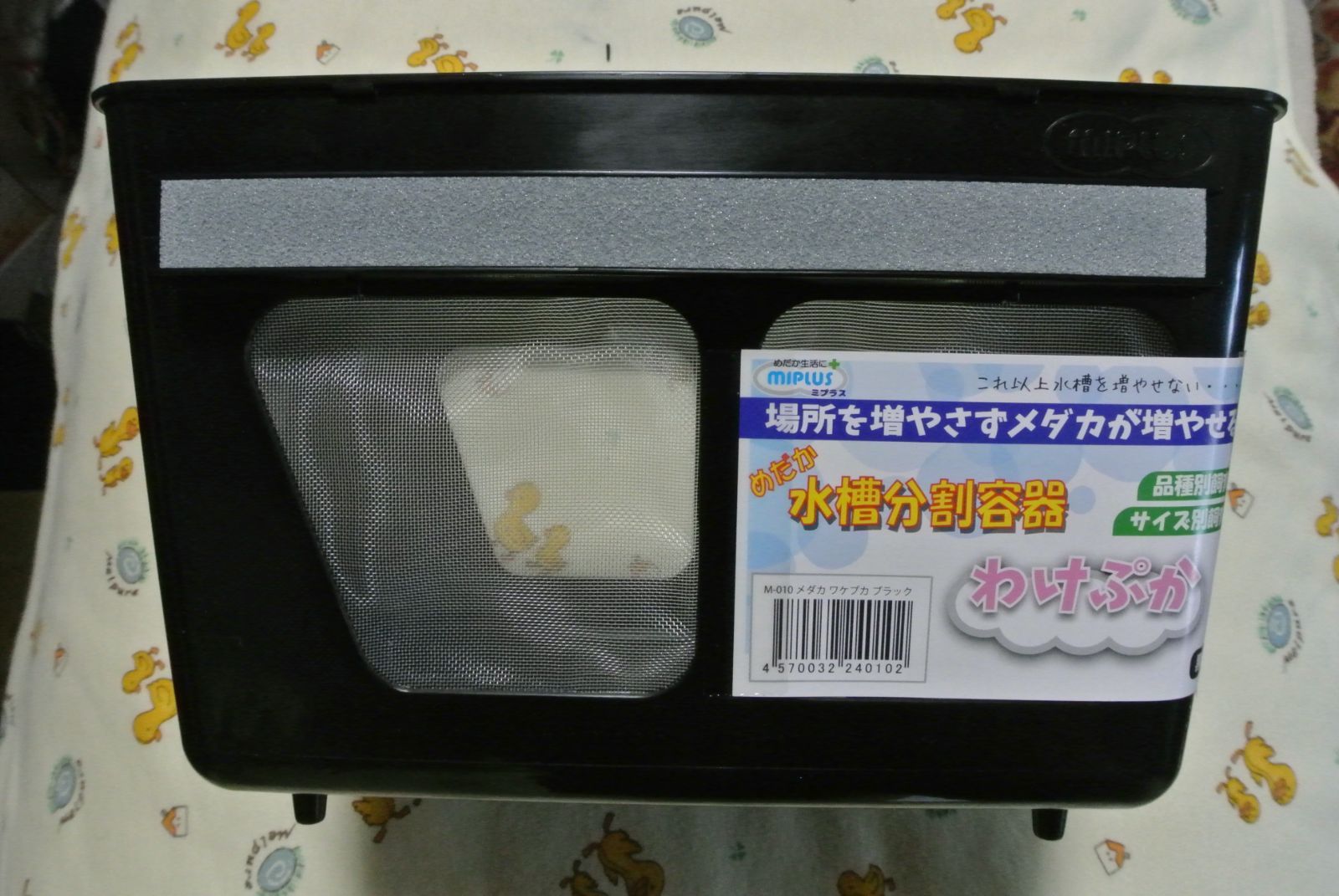 わけぷか黒 4個