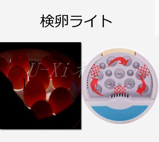 自動孵卵器 インキュベーター