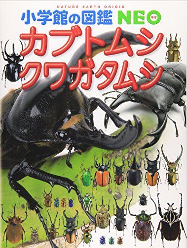 カブトムシ・クワガタムシ (小学館の図鑑NEO)