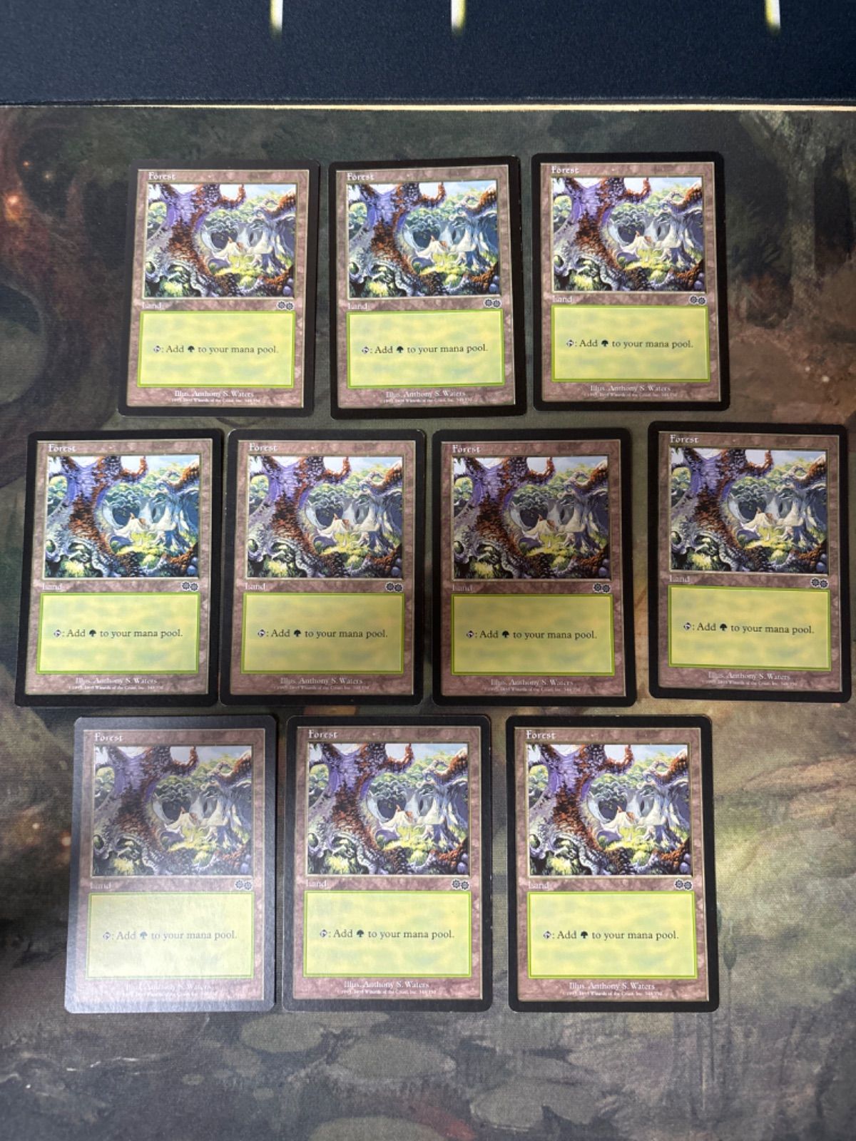mtg ウルザズサーガ森 Large Star版 英語 mtg ウルザズサーガ森 Large Star版 英語 - メルカリ