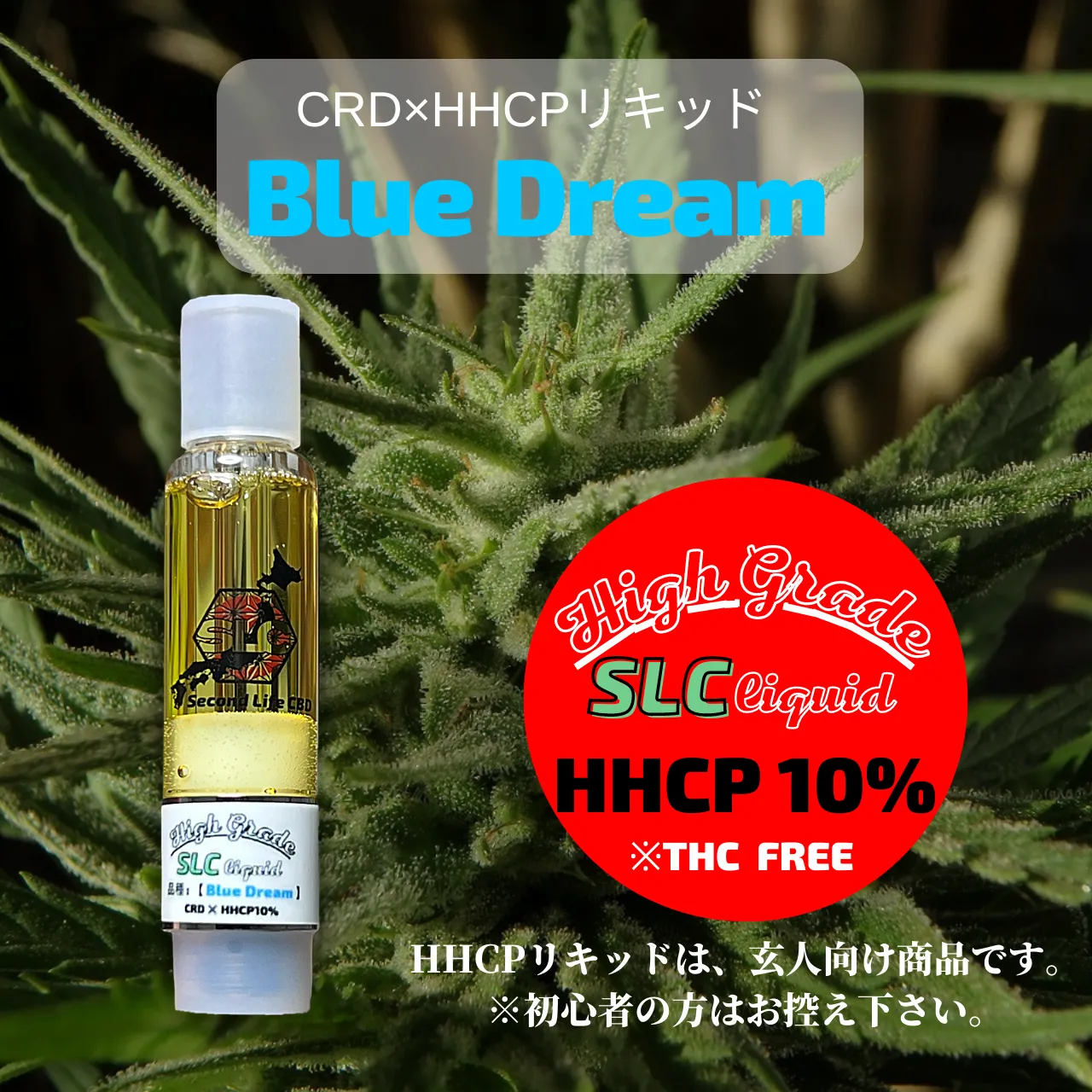 CRD×HHCP10%リキッド 1ml【Blue Dream】 - メルカリShops