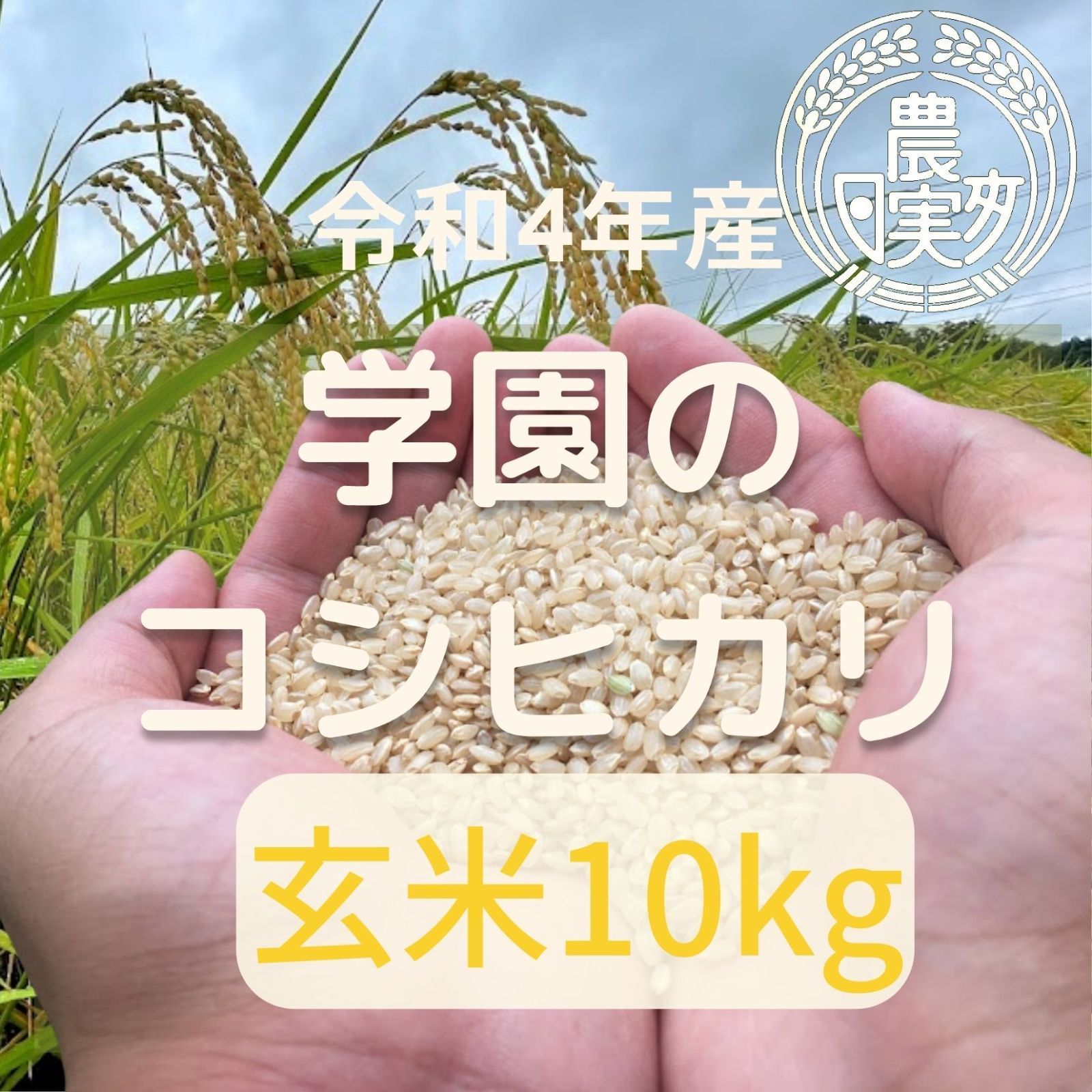 農業学校の学生と作った【コシヒカリ】玄米10kg　令和4年産新米　お米10キロ-0