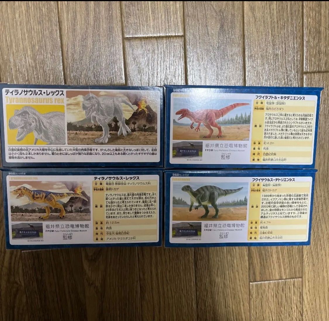 アニア　限定福井県立恐竜博物館　4個セット　ホワイトアニア　ティラノサウルス