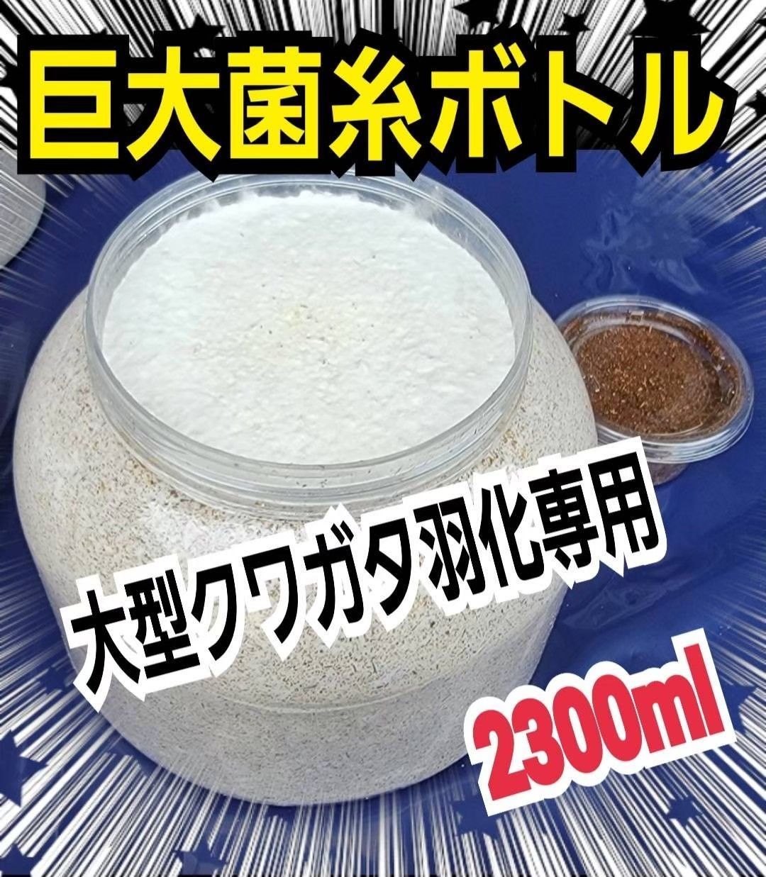 スーパービックサイズ2300ml【3本セット】特選ヒマラヤひらたけ菌糸瓶☆大型クワガタ羽化専用！トレハロース・キトサン・ローヤルゼリー強化配合！ギネスサイズ狙いに！  - メルカリ