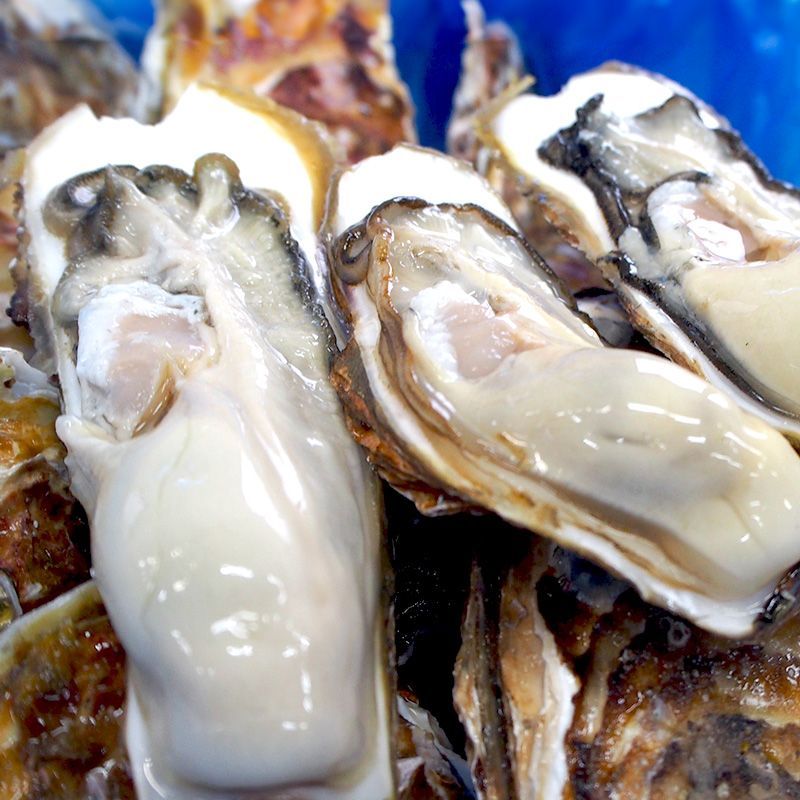 【生食用】宮城三陸産 殻付き牡蠣2kg 翌日発送可 - メルカリ