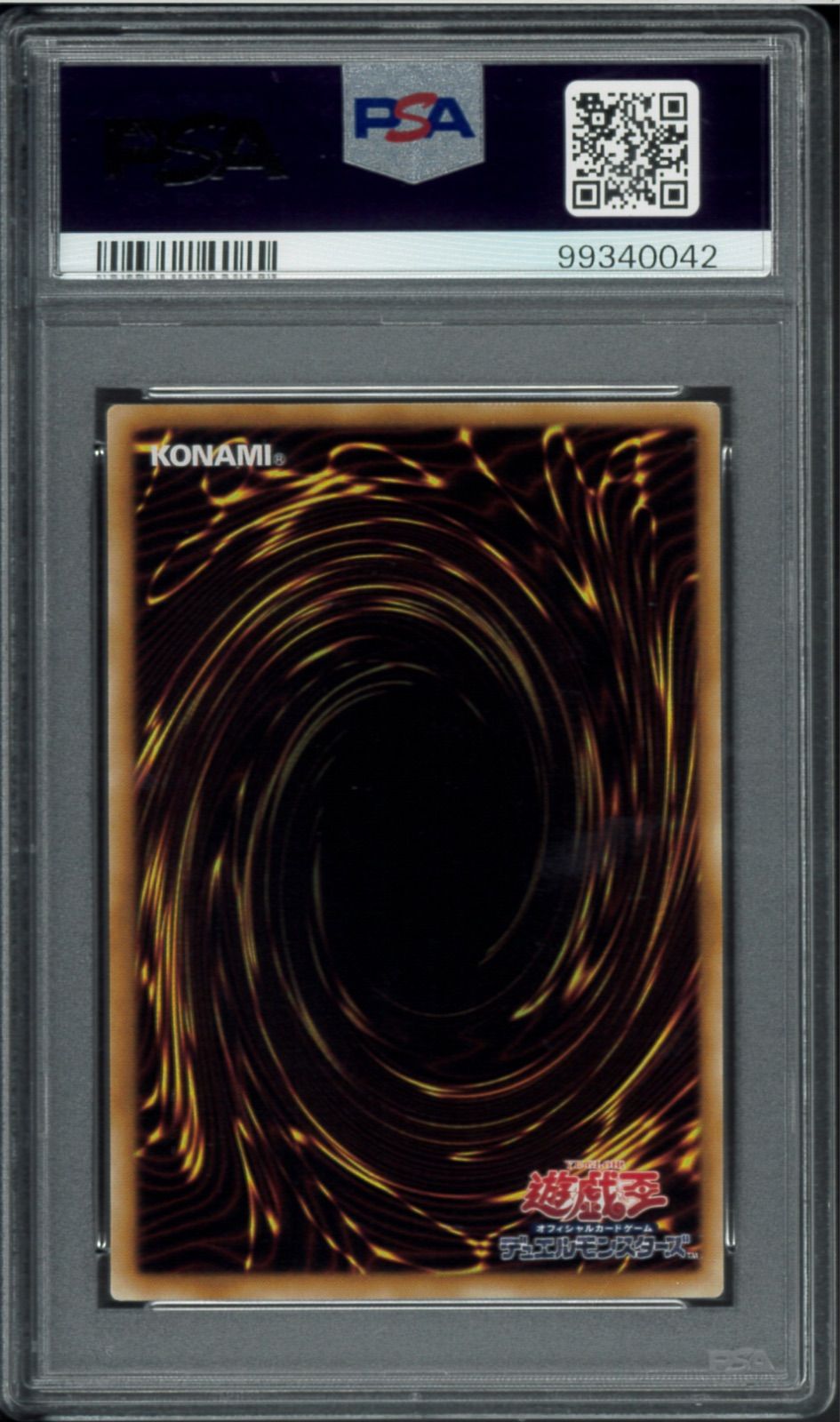 【PSA10】ブラックフェザードラゴン レリーフ アルティメットレア 遊戯王 PSA10 ブラックフェザードラゴン アルティメットレア