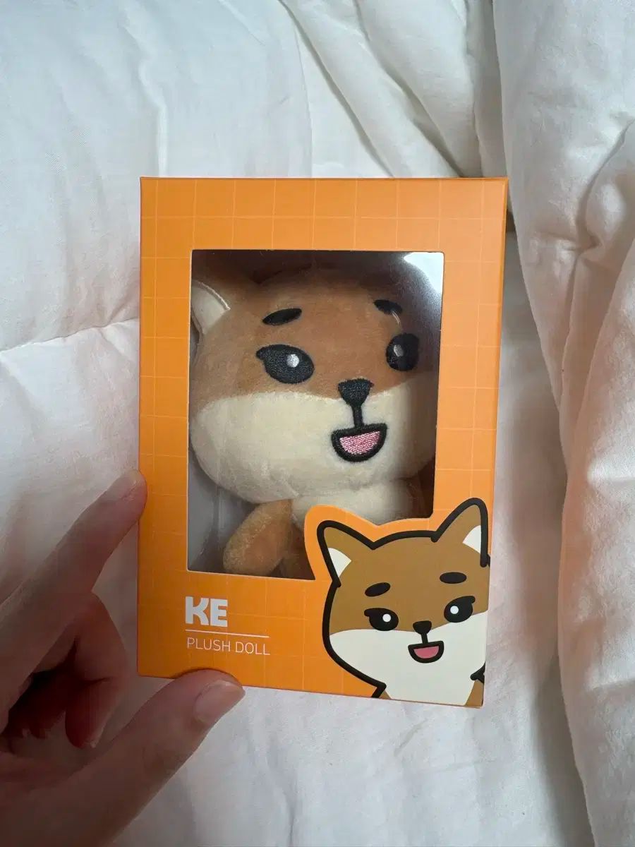 DAY6 ヨンケイ デニマルズ KE DENIMALZ プチマルズ DAY6(デイシックス) 2020 デニマルズ(DENIMALZ) ヨンケイ(Young