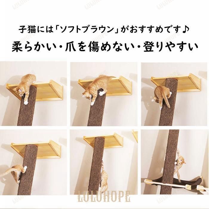 安定 頑丈