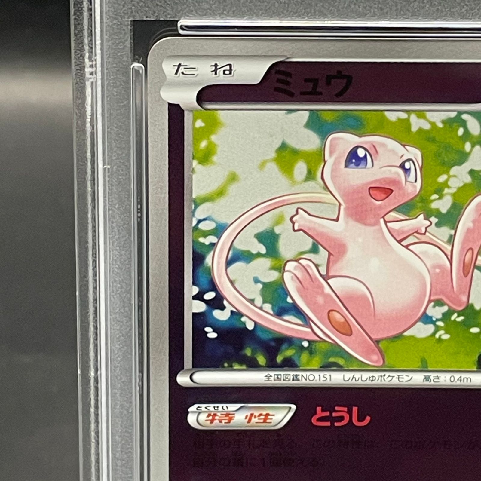 PSA10 ミュウ 220/BW-Pプロモ バトルカーニバル2013 スプリング ミュウ バトルカーニバル2013 プロモ psa10 220/BW-P 220/BW-P ミュウ