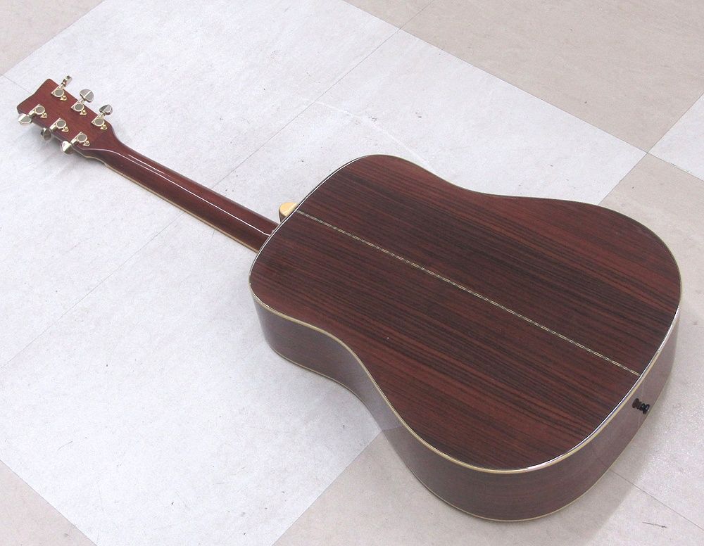 アコースティックギター DW-10