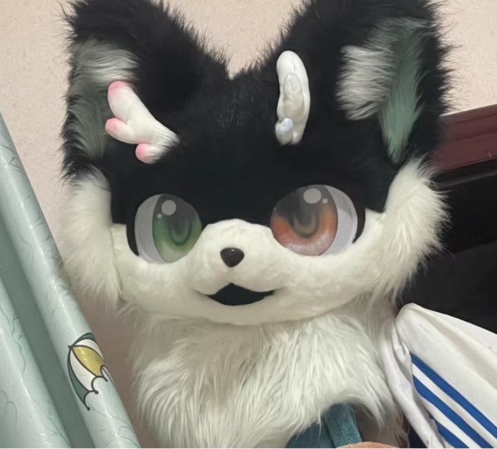 ファースーツ 着ぐるみセット NO.168 猫 ブラック ケモノ ファースーツ 全頭ヘッド ぬいぐるみ コスプレ コスチューム