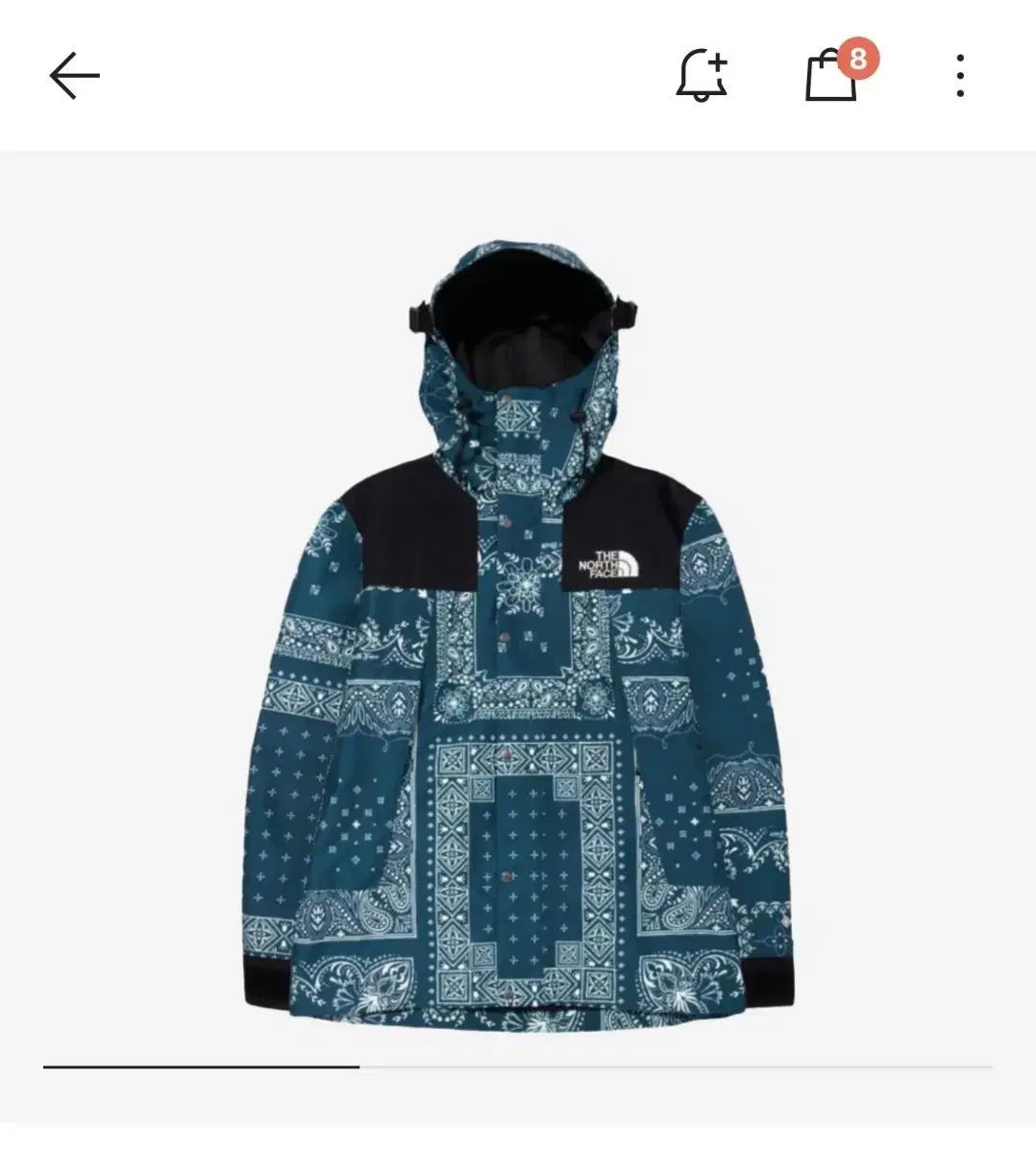 THE NORTH FACE ザ ノース フェイス ノベルティ GTX マウンテン ジャケット 105 XL
