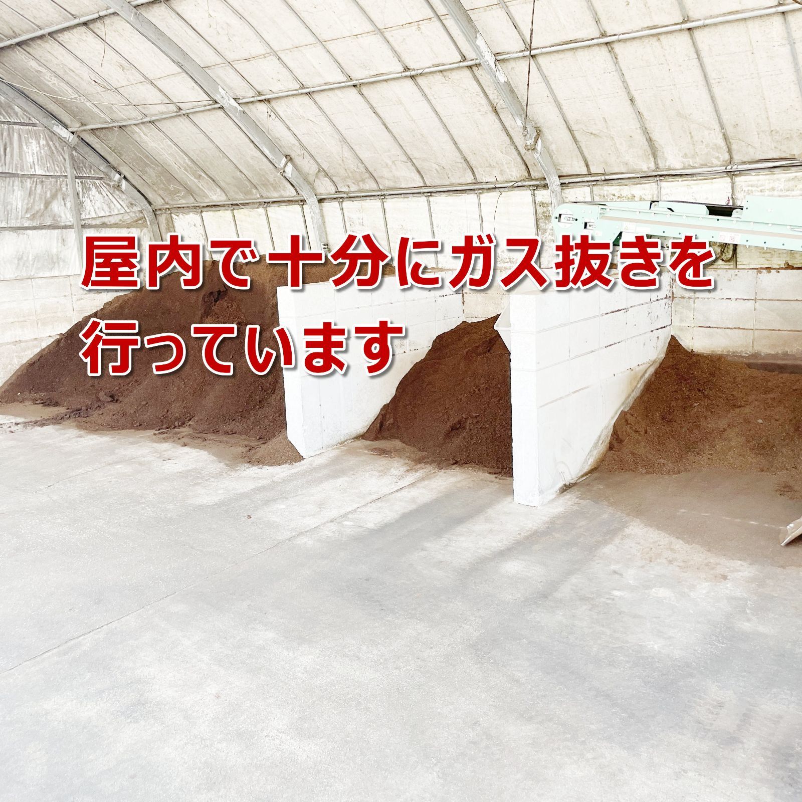 のサムネイル
