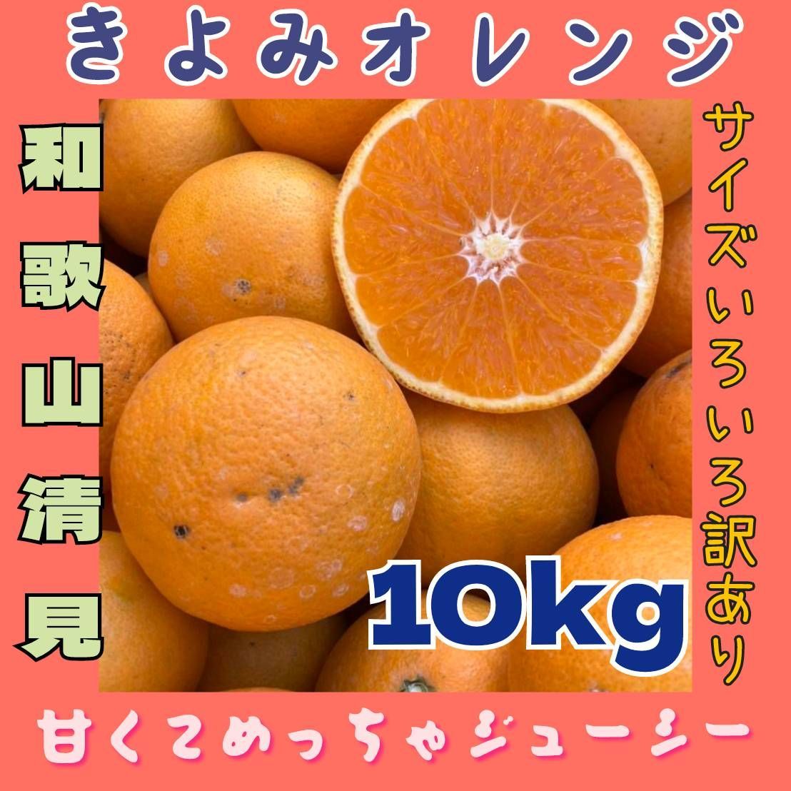 和歌山 清見 オレンジ 6kg わけあり 混合 みかん - 果物