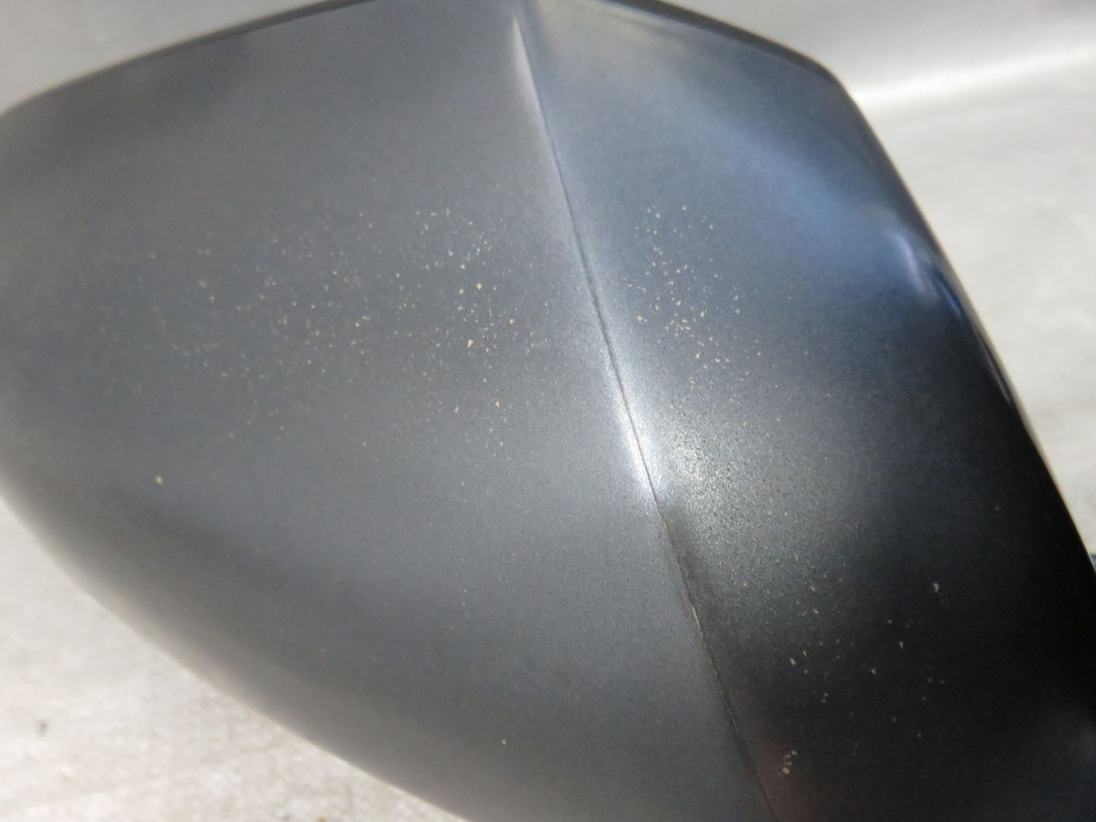 ヒ*ロ様 ❤️超元気❤️開花株❤️超大株❤️619【Ashwood】【親株】【E ヒ*ロ様 ❤️超元気❤️開花株❤️超大株❤️619【Ashwood】【