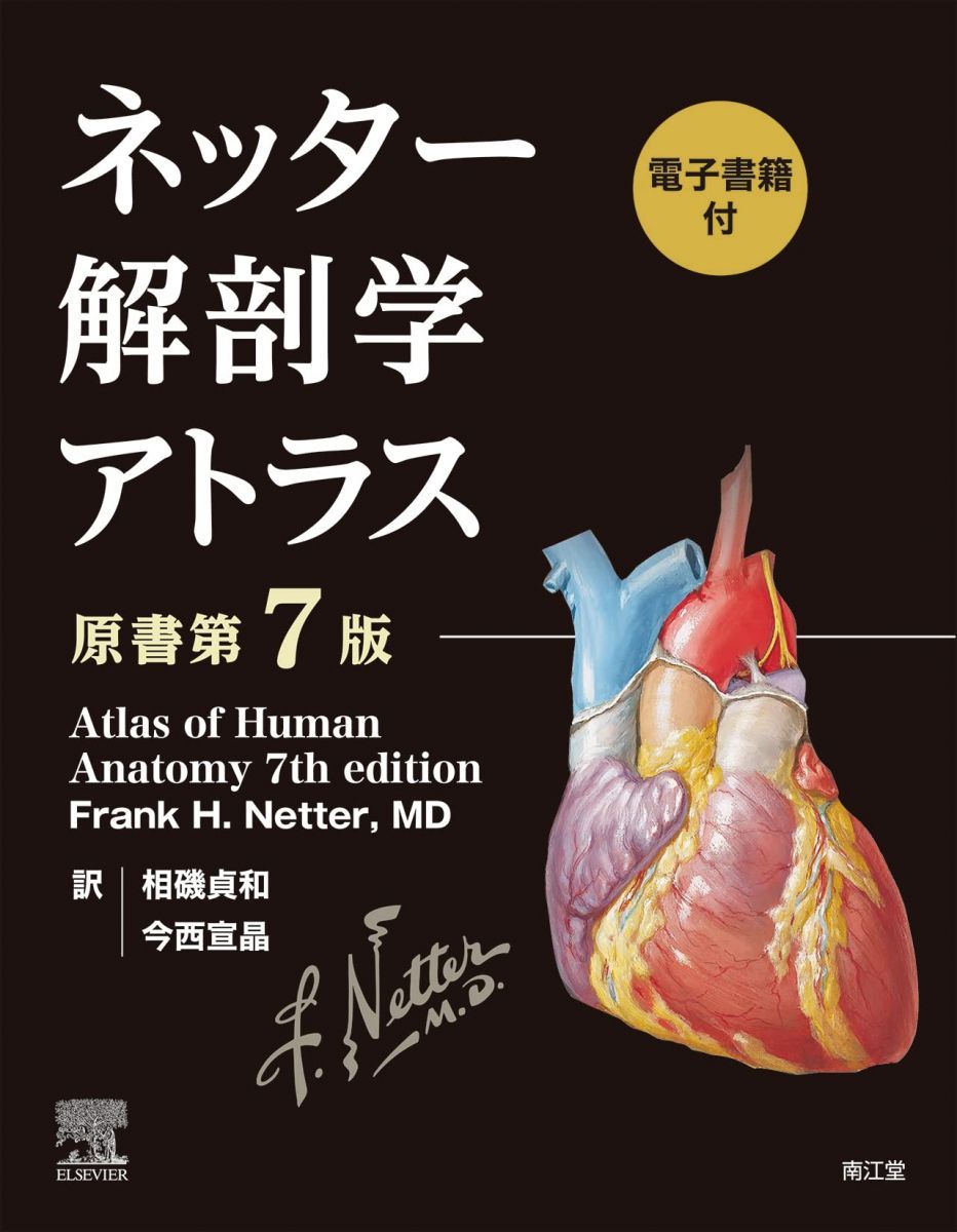 エルゼビアジャパン ネッター 解剖学 アトラス 原書第7版 状態良い 2022 Frank H.Netter