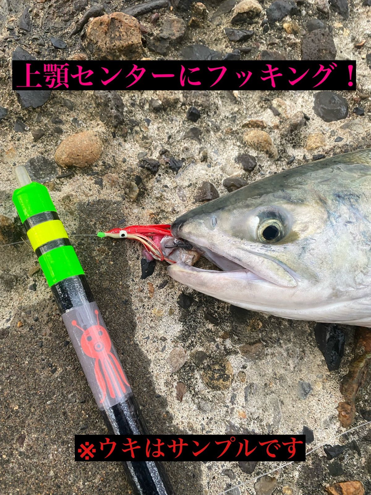 メルカリshops フカセ星人 アキアジ カラフトマス フカセ仕掛け 2セット