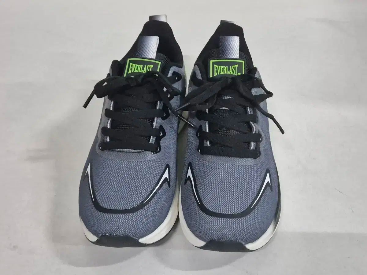 EVERLAST(エバーラスト) ランニングシューズ (255)