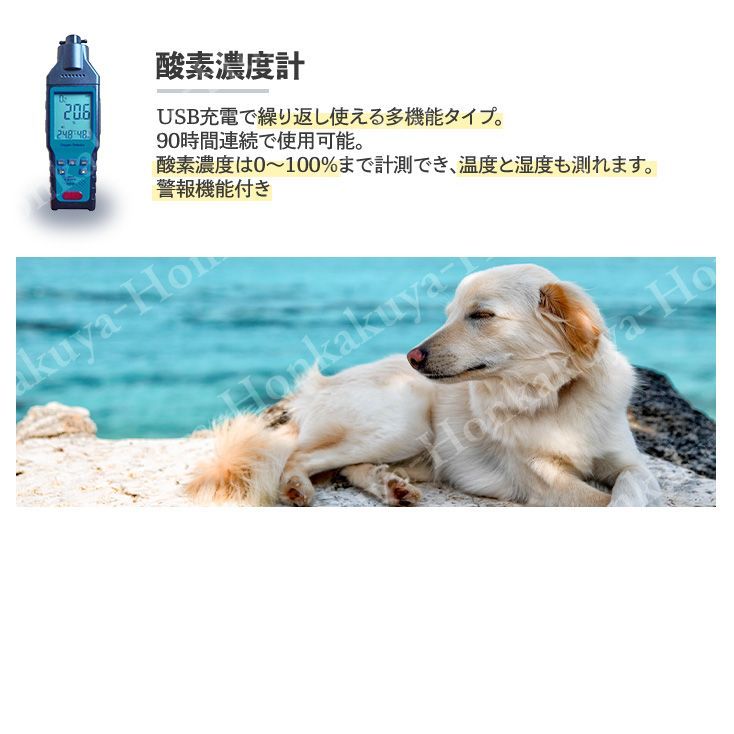 ハムスター