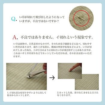 ラグ い草ラグ 江戸間2畳 約174×174cm 花ござ カーペット 格子柄 ナチュラル シンプル 和室 抗菌防臭 消臭 お手入れ簡単 ルネ MARWIL-DEMENAGEMENTS_CH