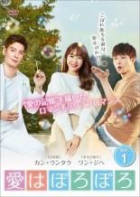 愛はぽろぽろ 40巻セット 字幕 レンタル落ち DVD