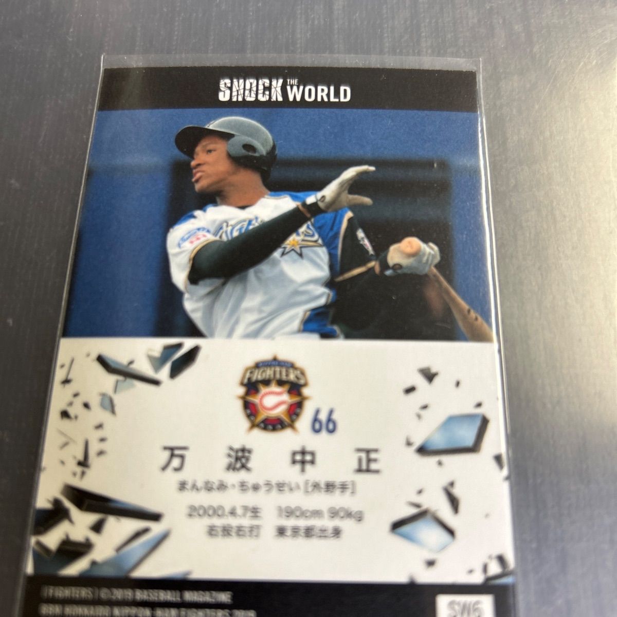 BBM 2019 北海道日本ハムファイターズ Shock The World 万波中正