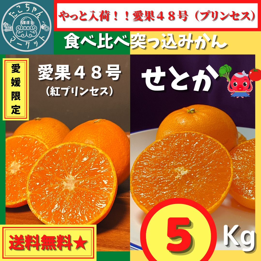 【産地直送】せとか＆愛果48号 食べ比べBOX 5kg 愛媛の新作