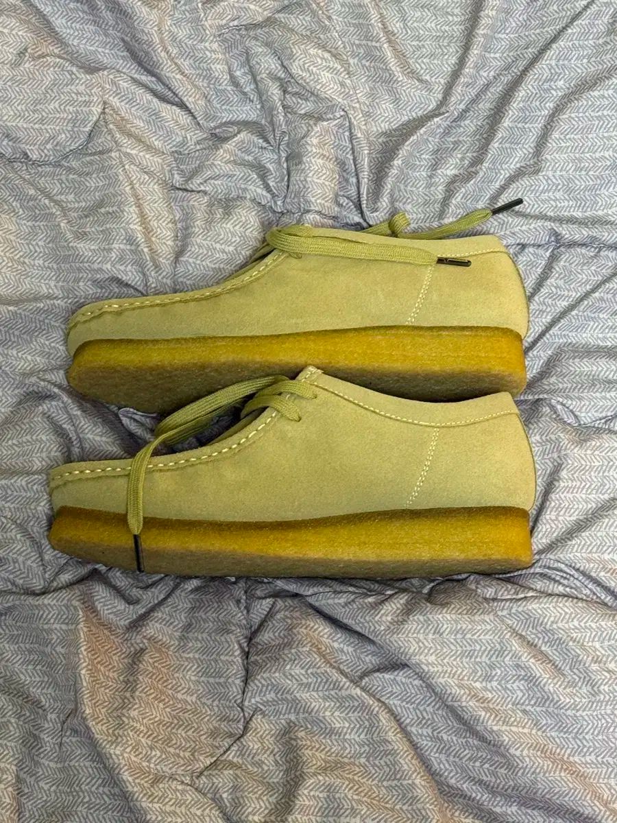 ワラビーフレーバー