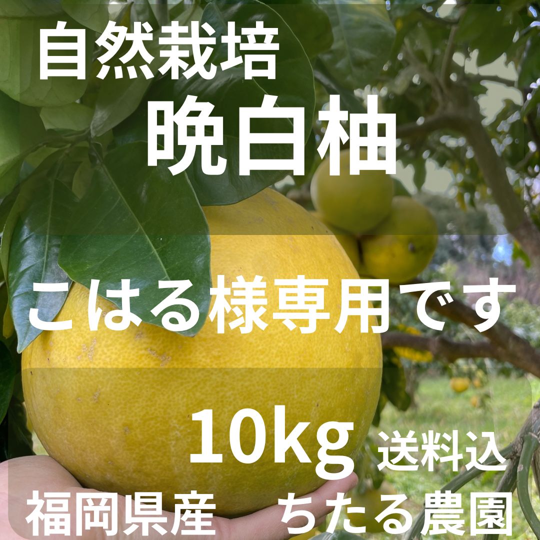 こはる様専用ページです❁⃘ 自然栽培 晩白柚10kg - メルカリ